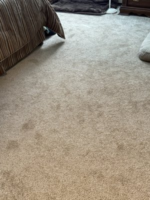 Carpet Clearance Outlet