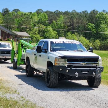 M&M Tree Service - Tree Services Near Me - Tupelo, Mississippi