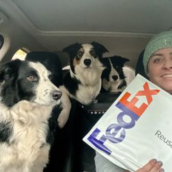 Oly Notary - I'm very pet friendly and happy to meet your pets when doing a home signing. They may even sniff out a dog biscuit or two in my notary bag.