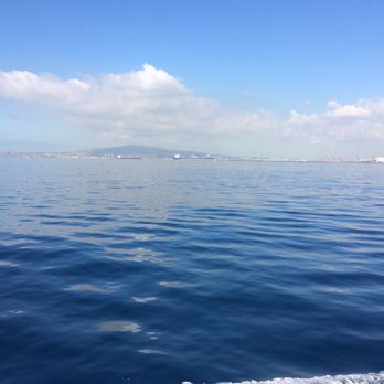 Catalina Express - Tours Near Me - Long Beach, California