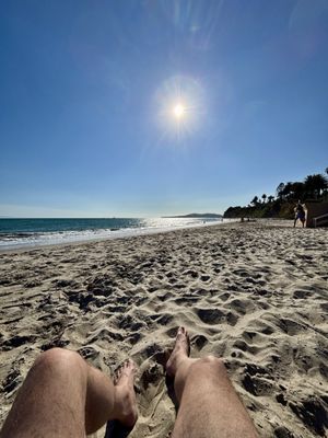 Butterfly Beach by null