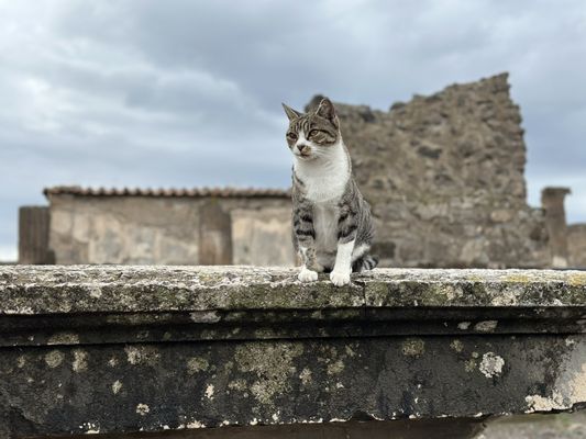Archaeological Park of Pompeii by null