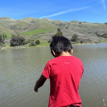 Ed R. Levin County Park - My Son Enjoying the Beautiful Weather & atmosphere. - Dog Parks Near Me - Milpitas, California Ed R. Levin County Park - My Son Enjoying the Beautiful Weather & atmosphere. - Dog Parks Near Me - Milpitas, California