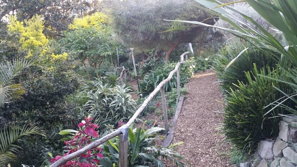 Wendy Whiteley's Secret Garden by null