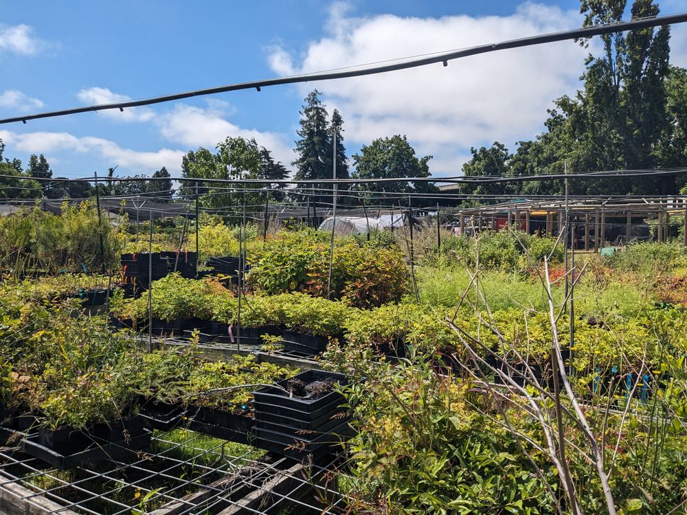 Planting Justice - social services organization in Oakland, CA