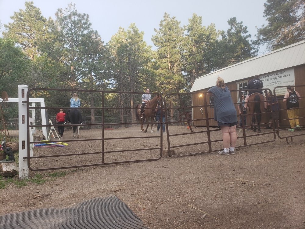 Destinacion's Equine Therapy - grief counselor in Black Forest, CO