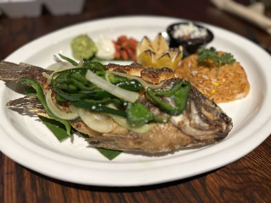 Xclusive Taqueria Moderna by null