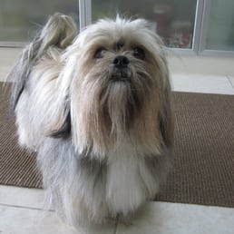 Not bad like this but can you see the diagonal blunder? Bad grooming!