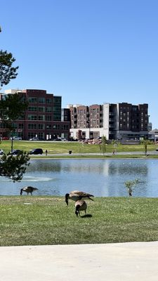 Sugar House Park by null