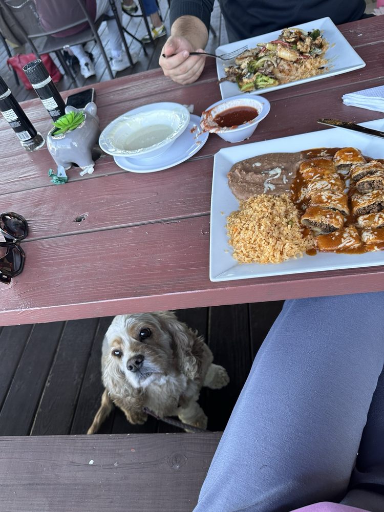 Viva Villa Mexican Grill
