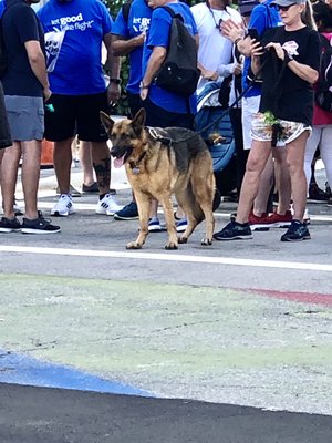 Huizenga Park by null