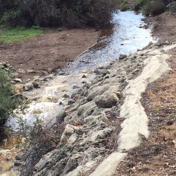 Pentachaeta Trail - So pretty after the rain! - Hiking Near Me - Westlake Village, California Pentachaeta Trail - So pretty after the rain! - Hiking Near Me - Westlake Village, California