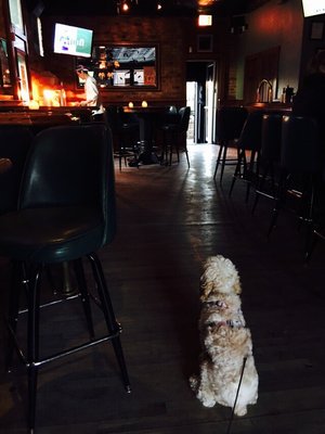 Bucktown Pub by null