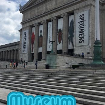 Field Museum - Museums Near Me - Chicago, Illinois Field Museum - Museums Near Me - Chicago, Illinois