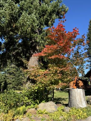 Cooper Spur Mountain Resort by null