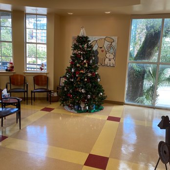 Patrick Veterinary Clinic - Lobby!! - Veterinarians Near Me - Charleston, South Carolina Patrick Veterinary Clinic - Lobby!! - Veterinarians Near Me - Charleston, South Carolina
