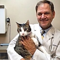 Whitlow Dan M Dr Vet - Dr. Whitlow and Sphynx