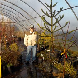 Independence Nursery & Water Gardens