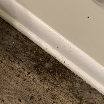 Brittany Apartments - Roaches are literally coming out of
My electrical socket, infestation - Apartments Near Me - Burlington, North Carolina Brittany Apartments - Roaches are literally coming out of
My electrical socket, infestation - Apartments Near Me - Burlington, North Carolina