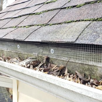 Serene Property Services - Pest Control Near Me - Wantage, New Jersey