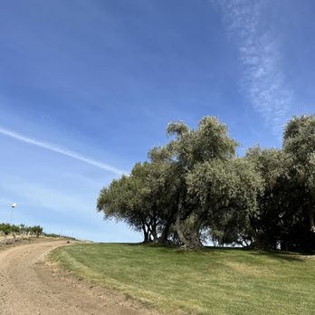 Still Waters Vineyards - Leading up to the olive trees - Wineries Near Me - Paso Robles, California Still Waters Vineyards - Leading up to the olive trees - Wineries Near Me - Paso Robles, California