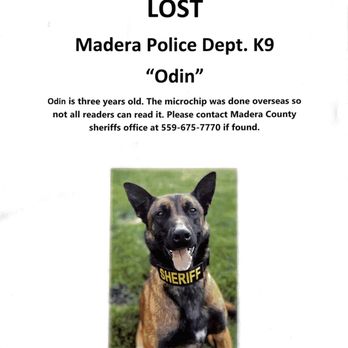 The Mug - This K-9 is missing. Please help report if found! - Coffee & Tea Near Me - Fresno, California The Mug - This K-9 is missing. Please help report if found! - Coffee & Tea Near Me - Fresno, California