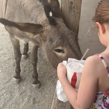 Town of Oatman - Local Flavor Near Me Town of Oatman - Local Flavor Near Me