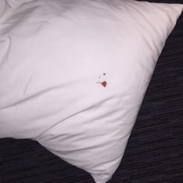 Somebody else's blood my pillow. Appalling! Somebody else's blood my pillow. Appalling!