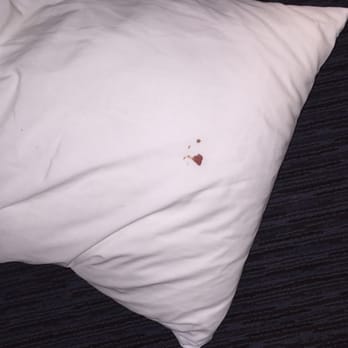 Comfort Inn Feasterville - Trevose - Somebody else's blood my pillow. Appalling! - Hotels Near Me - Feasterville Trevose, Pennsylvania Comfort Inn Feasterville - Trevose - Somebody else's blood my pillow. Appalling! - Hotels Near Me - Feasterville Trevose, Pennsylvania
