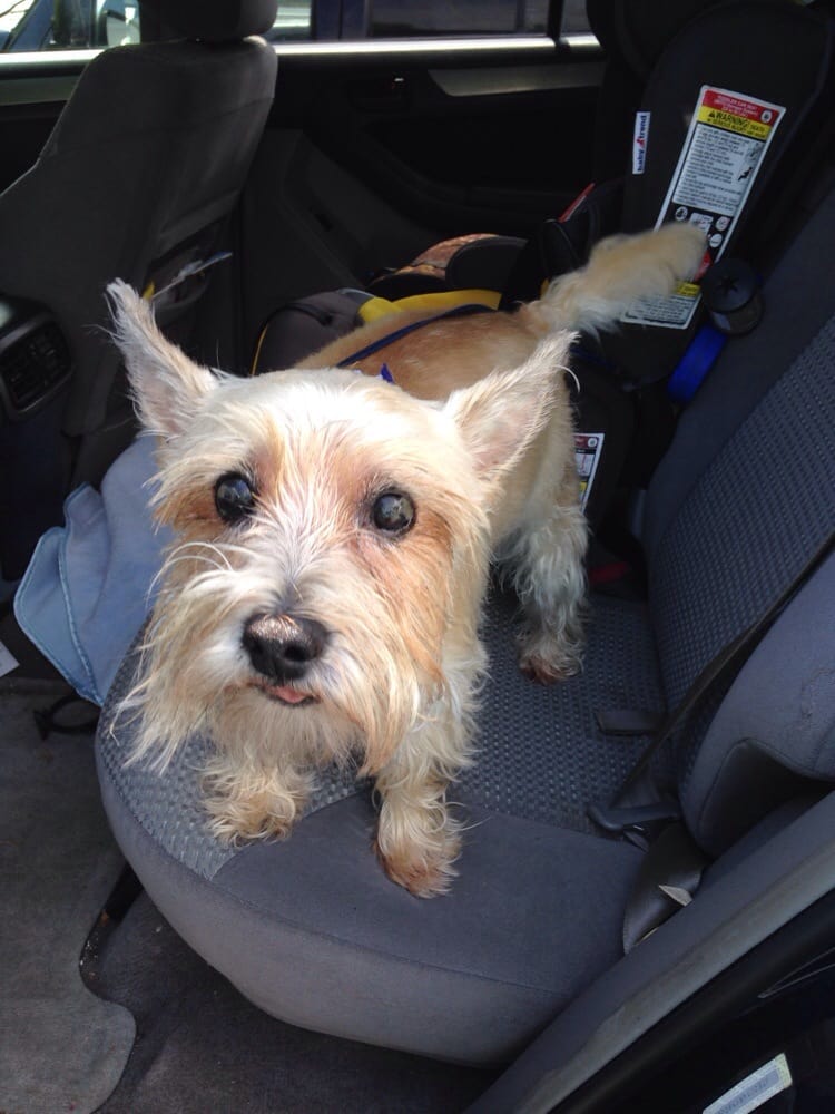 WHALEYVILLE ANIMAL HOSPITAL Updated August 2024 Maryland Veterinarians