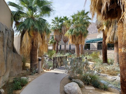 Agua Caliente Cultural Museum by null