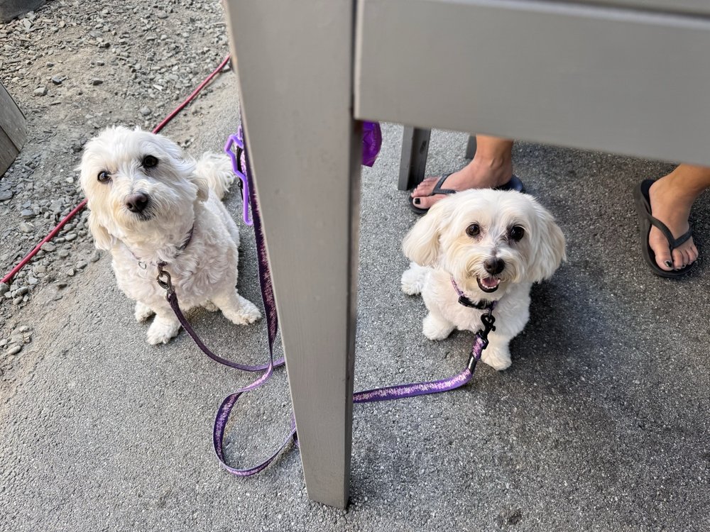 Birdhaus Beer Garden