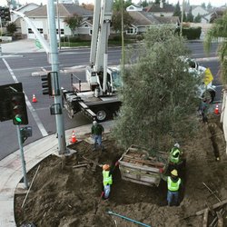 Grover Landscape Services - Small Focal Point - BIG IMPACT!

Renovation team just finished up a small design-build job at the corner of an intersection.