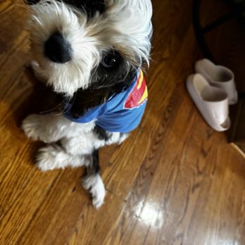 PetSmart - Pet Stores Near Me - Macedonia, Ohio