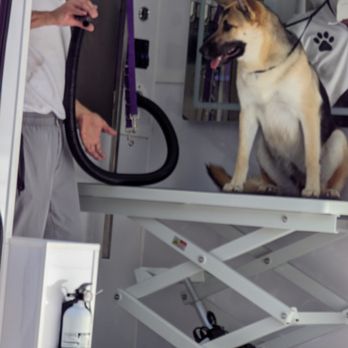 210 Pet Grooming - Pet Groomers Near Me - San Antonio, Texas