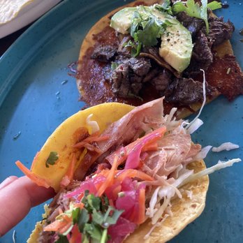 Wild Taco - Govs Park - Conejo taco and Buffalo taco - Tacos Near Me - Denver, Colorado Wild Taco - Govs Park - Conejo taco and Buffalo taco - Tacos Near Me - Denver, Colorado