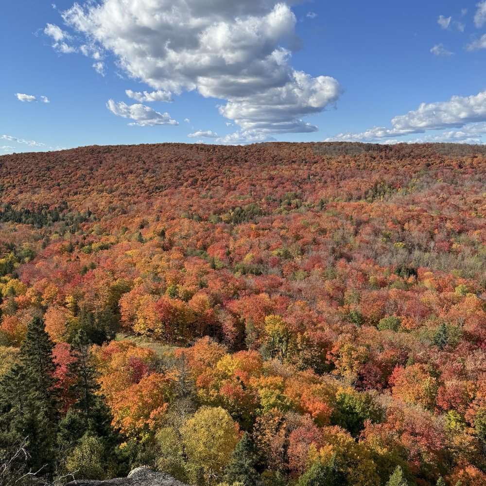 Lutsen Mountains - Ski Resorts Near Me - Lutsen, Minnesota Lutsen Mountains - Ski Resorts Near Me - Lutsen, Minnesota