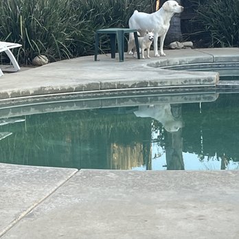 Continental Precision Pools - Before - Pool & Hot Tub Service Near Me Continental Precision Pools - Before - Pool & Hot Tub Service Near Me