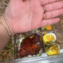A very tiny salmon bento box.