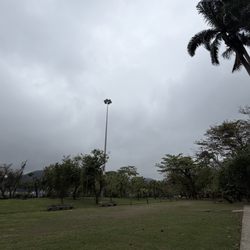 Museu Carmem Miranda - Carmen Miranda Park surrounded the museum
