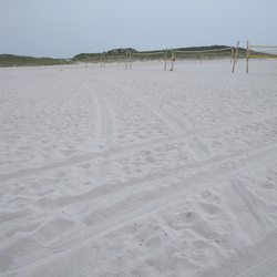 Cedar Beach