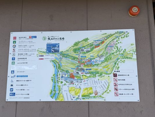 Daio Wasabi Farm by null