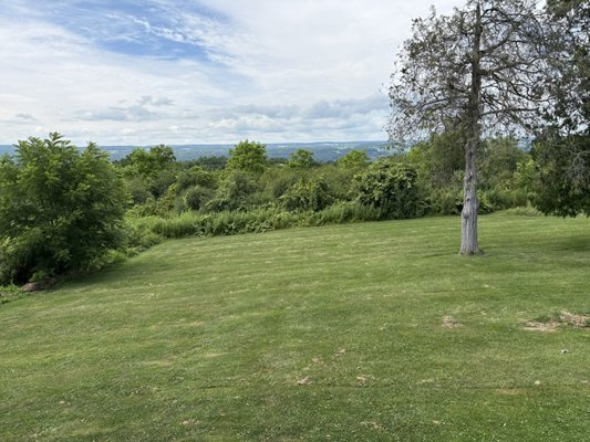 Stonecat: Regional Cuisine & Bar by null