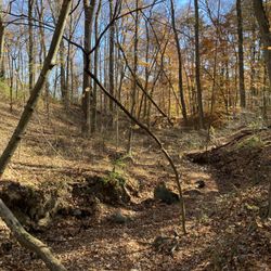 Alum Creek State Park
