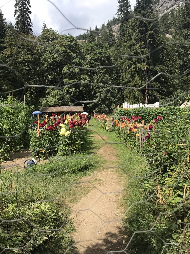 The Garden Logo