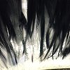 Gorilla Car Wash gift card