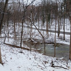 Another hiking area across Lincoln Drive. Not sure if this is technically part of the park, but I crossed over to check it out too!