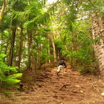 Kuliouou Ridge Trail - These parts usually suck but trust me, it only gets harder from here. Photo by Eric Alcantara - Hiking Near Me - Honolulu, Hawaii Kuliouou Ridge Trail - These parts usually suck but trust me, it only gets harder from here. Photo by Eric Alcantara - Hiking Near Me - Honolulu, Hawaii