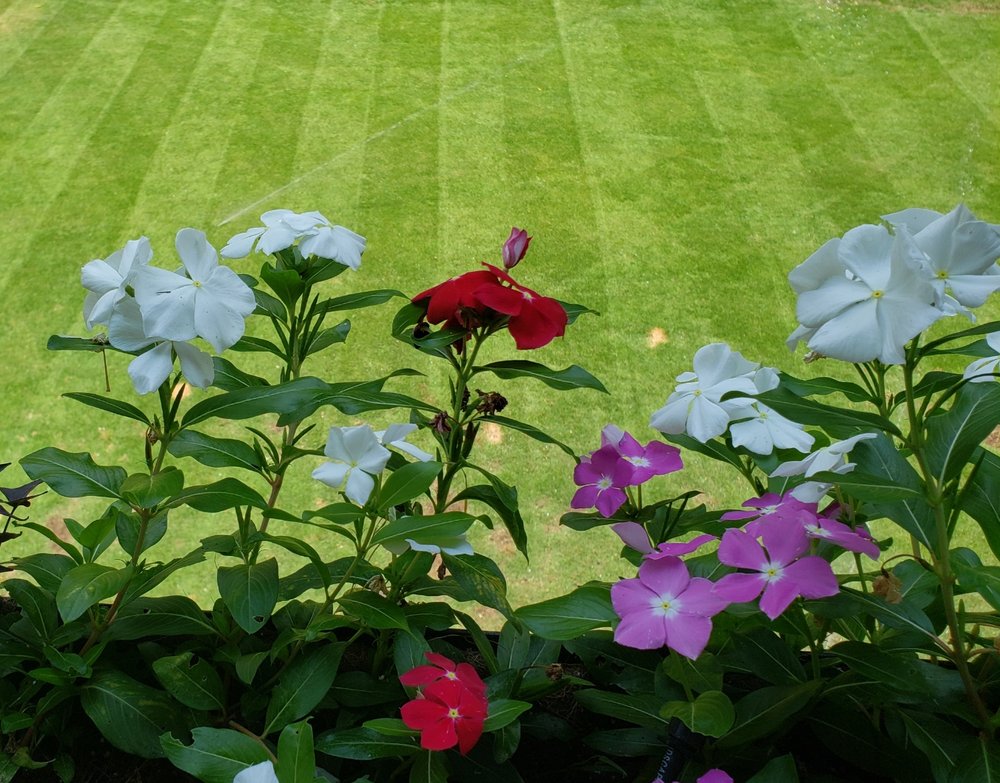 AMAZING BLADES LANDSCAPING 41 Photos & 20 Reviews 3015 Drywall Dr