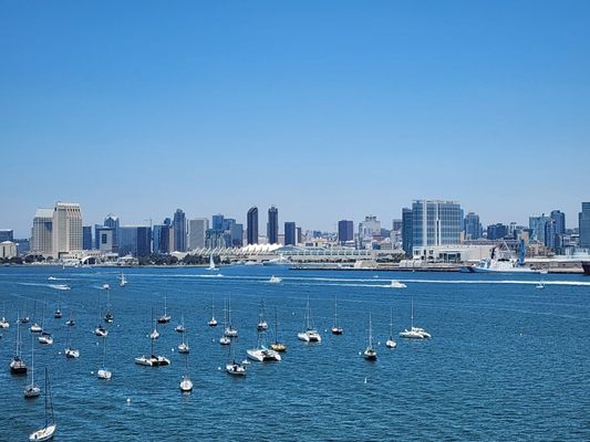 Coronado Bridge by null